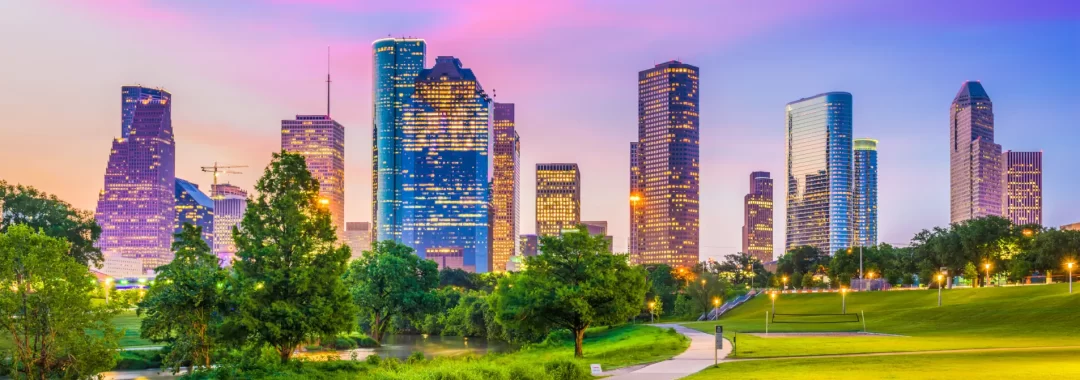 View of Houston Skyline From Allen Park